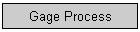 Gage Process